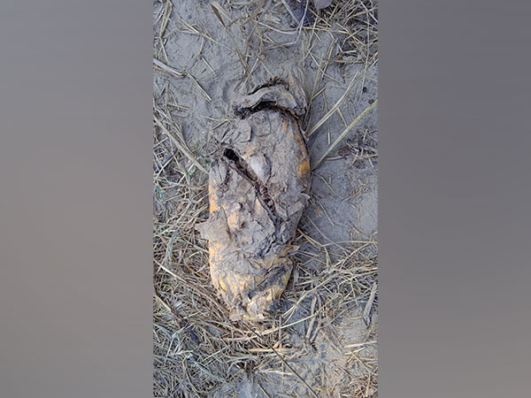 Packet recovered by BSF near India-Pak border in Punjab (Photo/ANI)