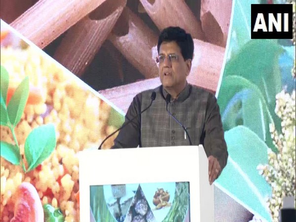 Union Minister of Commerce Piyush Goyal (Photo/ANI)
