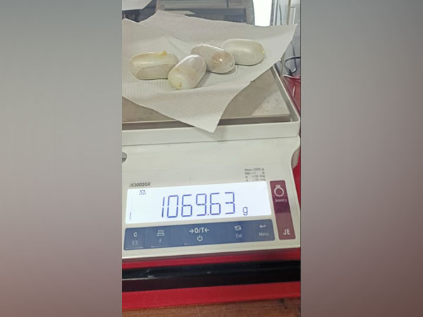 The gold seized by the Customs at Kochi airport. 