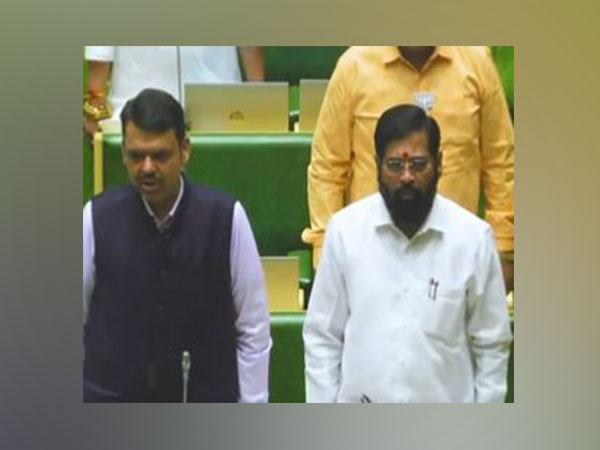 A Visual of Maharashtra Deputy Chief Minister Devendra Fadnavis and Chief Minister Eknath Shinde from VidhanSabha (Photo:Twitter@Dev_Fadnavis)