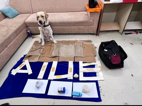 Drugs seized at Chennai airport (Photo/ANI)