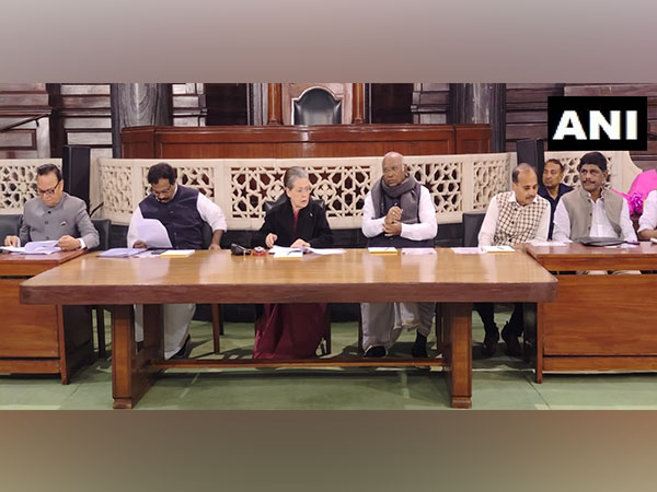 Sonia Gnadhi in Congress parliamentary party meeting (Photo/ANI)