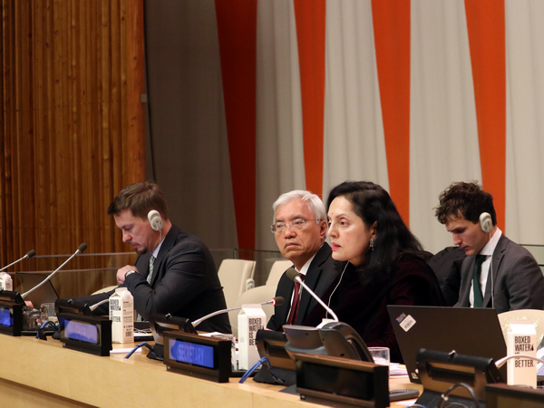 India's Permanent Representative to UN Ruchira Kamboj (Image: Twitter/@IndiaUNNewYork)