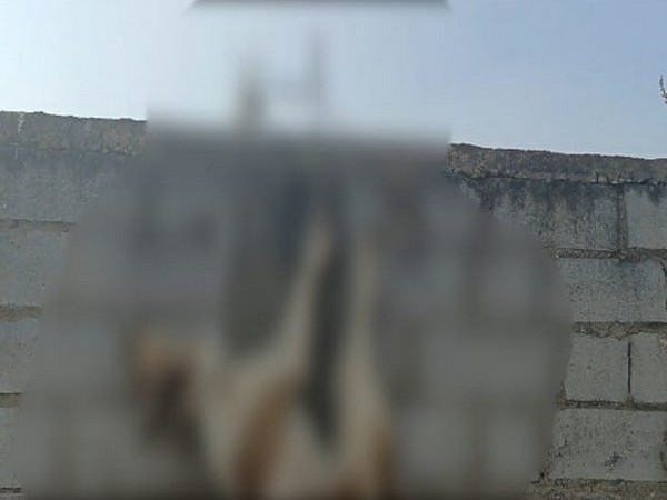 Dog hanging from the wall (Photo/ANI)