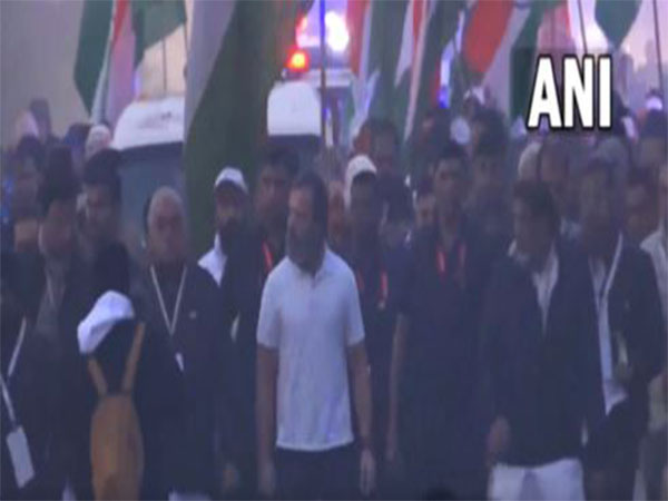 Congress led Bharat Jodo Yatra resumes from Mallab Village in Nuh's Haryana onThursday (Photo credit:AICC)