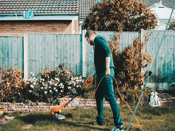 Representative image