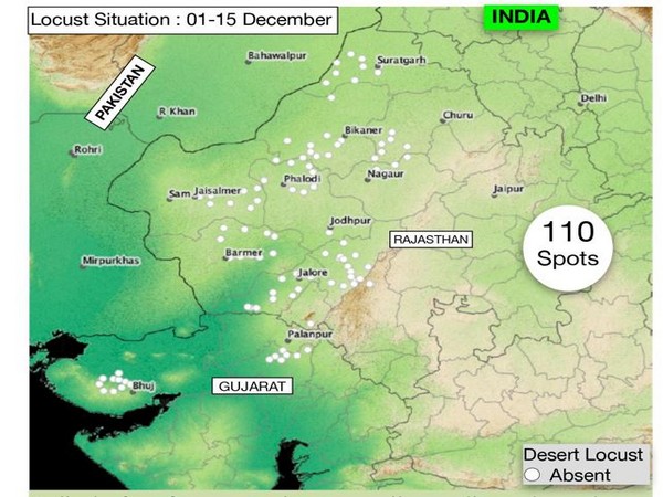 Image Courtesy: Locust Warning Organisation