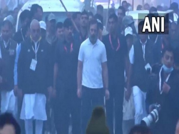 Congress's Bharat Jodo Yatra resumes from Sohna in Haryana(Photo/AICC)