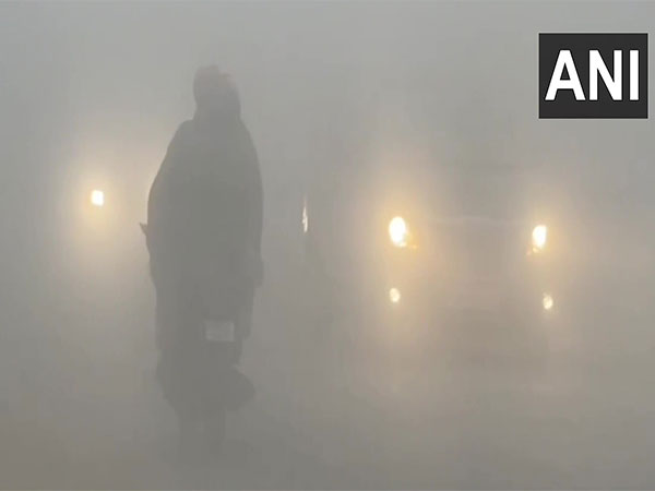 Dense fog engulf Bathinda on Friday Morning (photo/ANI)