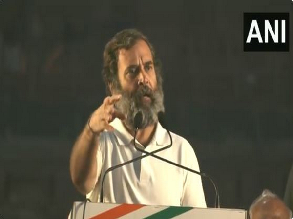 Congress leader Rahul Gandhi at Red Fort (Photo/ANI)