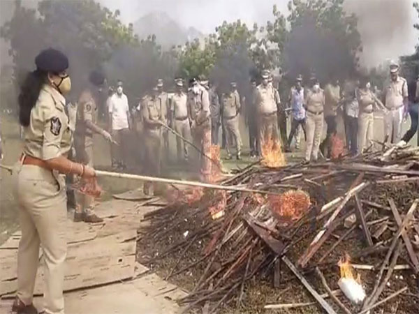 Police burning seized cannabis (Photo/ANI)