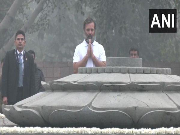 Congress MP Rahul Gandhi (Photo/ANI)
