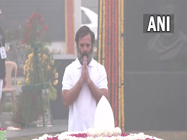 Congress MP Rahul Gandhi (Photo/ANI)