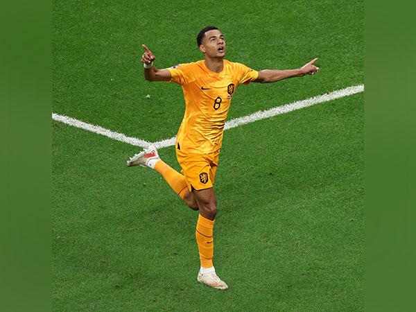 Cody Gakpo. (Photo- FIFA WC Twitter)