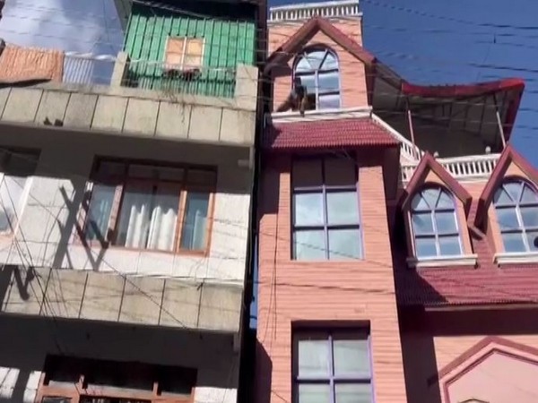 Two buildings collide with each other due to land subsidence in Joshimath (Photo/ANI)