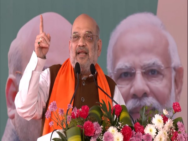 Union Home Minister Amit Shah (Photo:ANI)