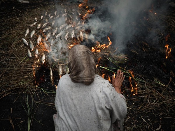 A woman cooking Phari (Photo/ANI)