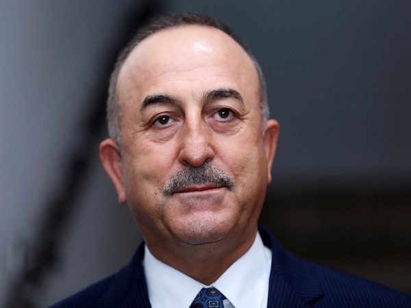 Turkish Foreign Minister Mevlut Cavusoglu. (File Image)