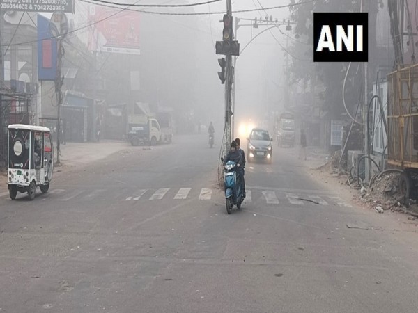  Indian Meteorological Department said that cold waves and fog conditions will continue to prevail in Lucknow. (Photo/ANI)