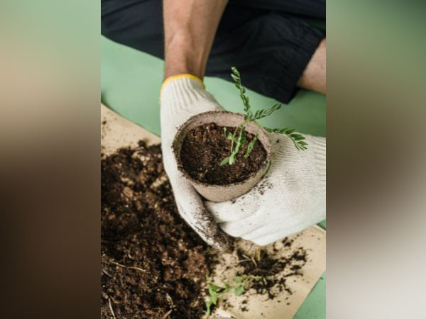 Representative image