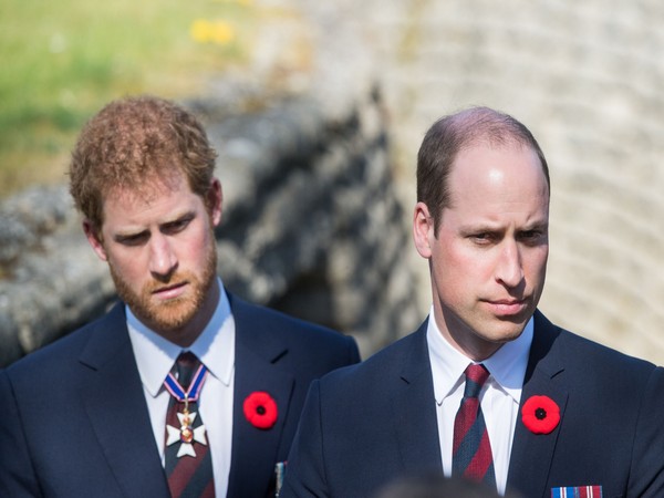 Prince Harry and Prince William (Image source: Twitter)