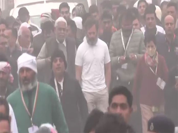 Congress leader Rahul Gandhi during the Bharat Jodo Yatra in Haryana (Photo/ANI)