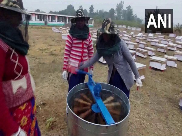 Beekeeping being done by women in Balrampur in Chhattisgarh. (Photo/ANI)