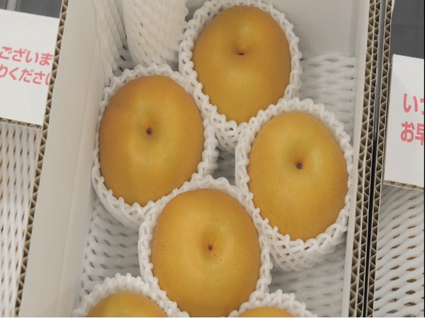 Japan's Fukushima becomes major fruit production hub.