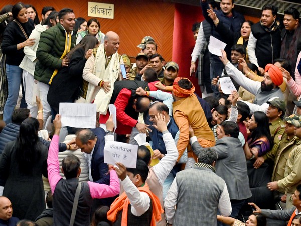 When BJP and AAP councillors came to blows at the MCD meet to pick mayor and deputy mayor. (Photo/ANI)