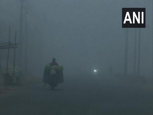 Low visibility across North India remains a cause of concern (File Photo/ANI)