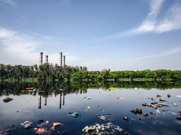 Representative Image (Image Source: Pexels)