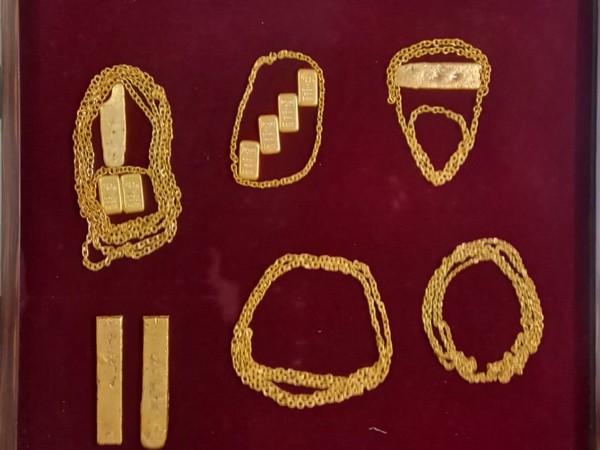 3.54 kg gold seized after a passenger was nabbed attempting to smuggle gold in Coimbatore (Photo/ANI)