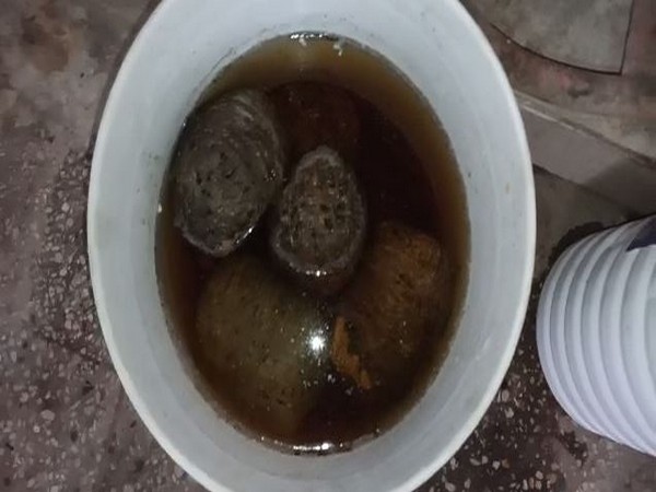 Seized bombs (Photo/ANI)