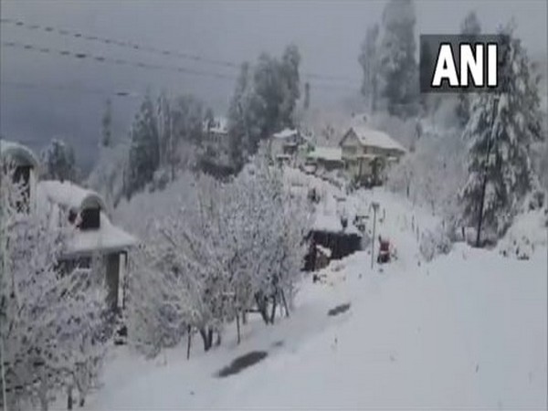 Heavy snowfall in Himachal Pradesh (Photo/ANI)