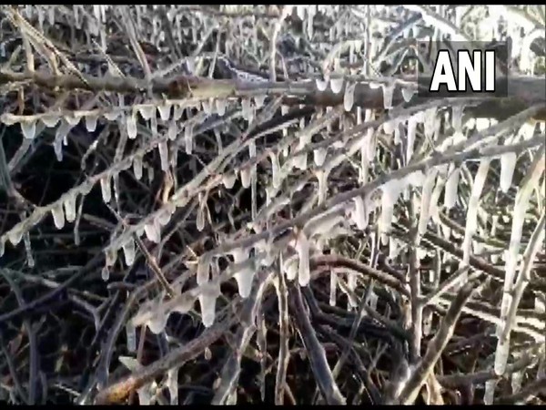 Visual from Rajasthan. (Photo/ANI)