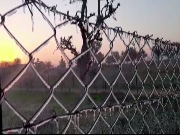Frozen ice on fence (Photo/ANI)