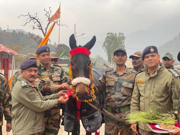 Indian Army officials with the felicitated mule. (Photo/ANI)