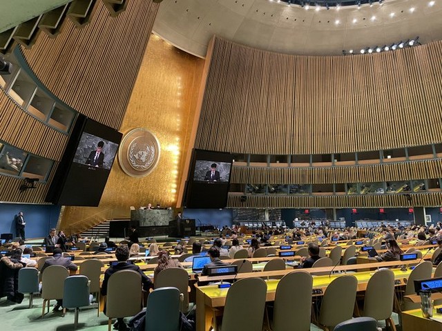 UNGA adopts resolution on Education for Democracy co-sponsored by India (Photo Credit: Denmark mission in UN twitter)