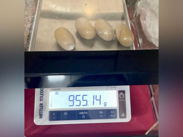 Gold seized at Kochi airport (Photo/ANI) 