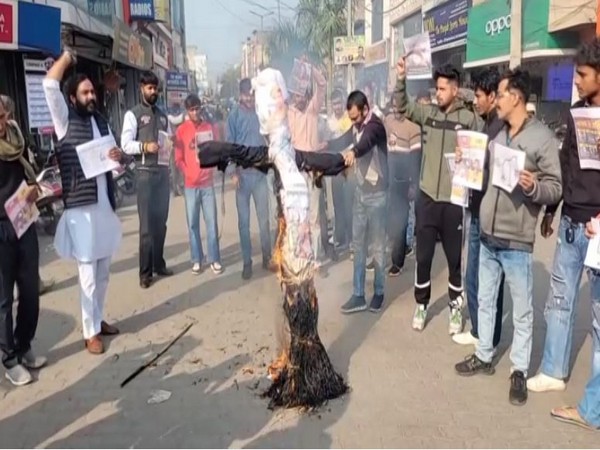 Congress workers burning the effigy of WFI chief Brij Bhushan in Ambala (Photo/ANI)