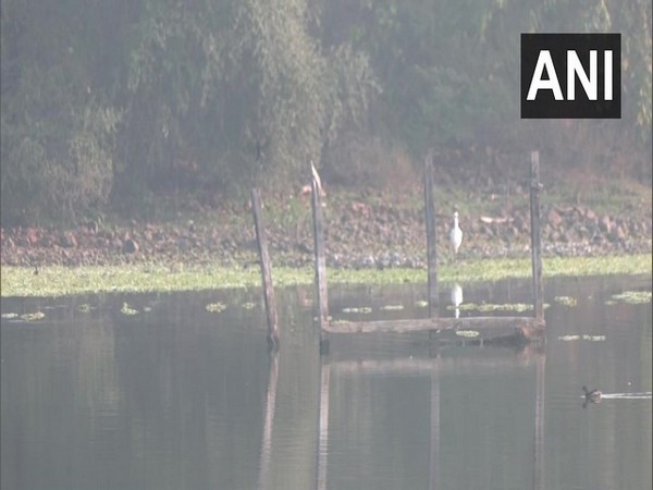 Exotic birds spotted in Maharashtra's Nagpur