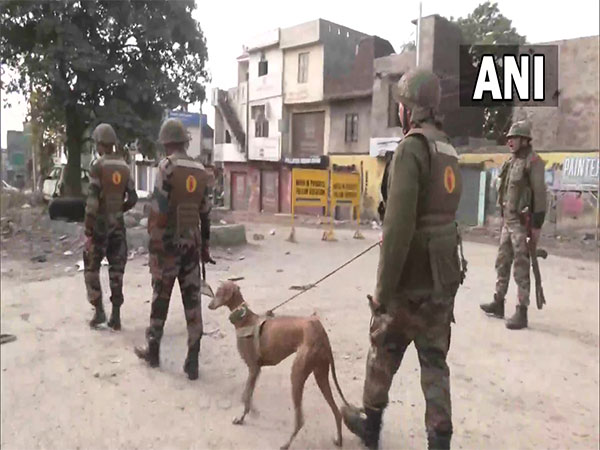 Army dog unit at the explosion site (Photo/ANI)