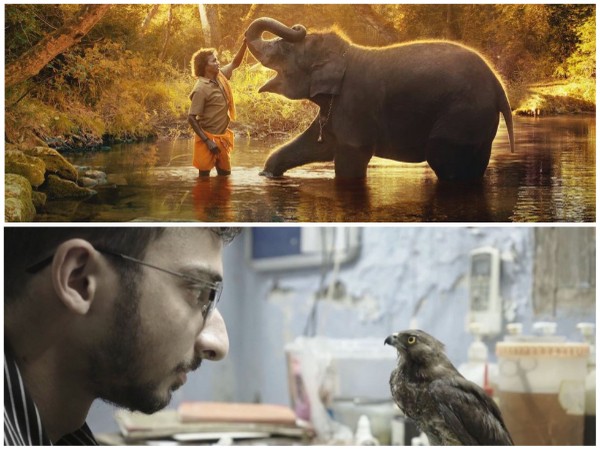 Stills from ' The Elephant Whisperers' and 'All That Breathes' (Image Source: Twitter)