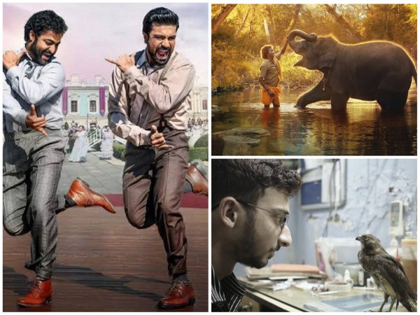 Stills from 'RRR', 'The Elephant Whisperers' and 'All That Breathes' (Image Source: Twitter)