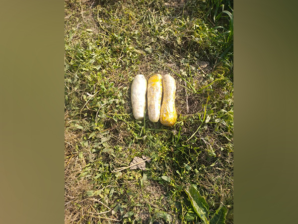 Visual of the narcotics (Photo/ANI) 