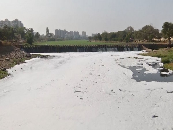 Layer of toxic foam over Indrayani River in Pune (Photo/ANI)