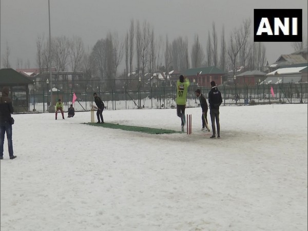 A visual of snow cricket in Kashmir. (Photo- ANI)