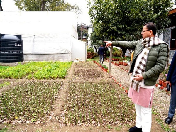 Uttarakhand Chief Minister inspecting the vegetables in the poly house in hsi official residence (Photo/ANI)