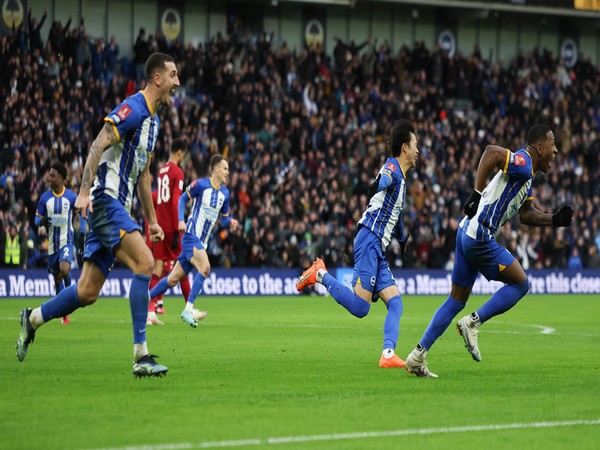 Brighton players celebrating. (Photo- Brighton and Hove Albion Twitter)