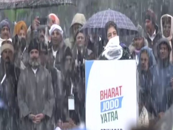 PDP chief Mehbooba Mufti (Photo/ANI)